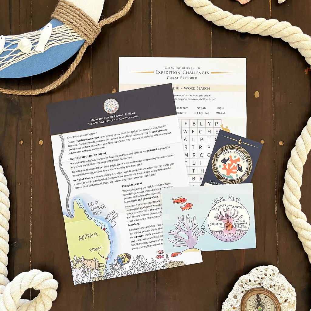 Ocean-themed children's letter pack with seashells and ropes on a wooden surface