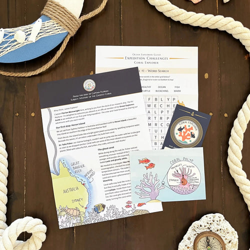 Ocean-themed children's letter pack with seashells and ropes on a wooden surface